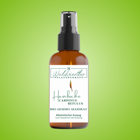 BIO-Gemmo-Mazerat Hainbuche 50ml