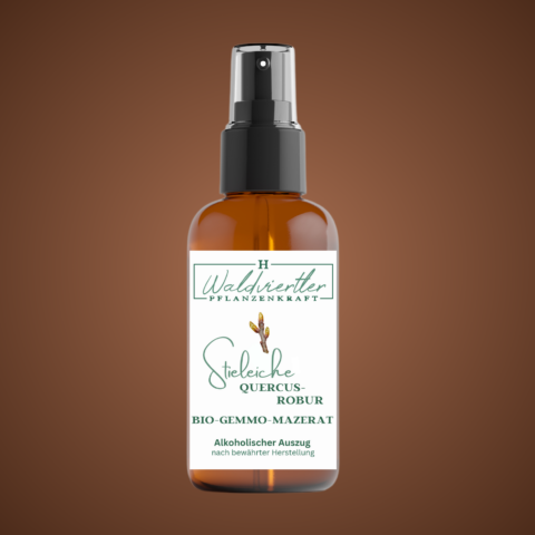 BIO-Gemmo-Mazerat Stieleiche 50ml