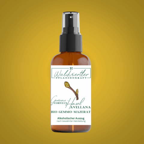 BIO-Gemmo-Mazerat Gemeine Hasel 50ml