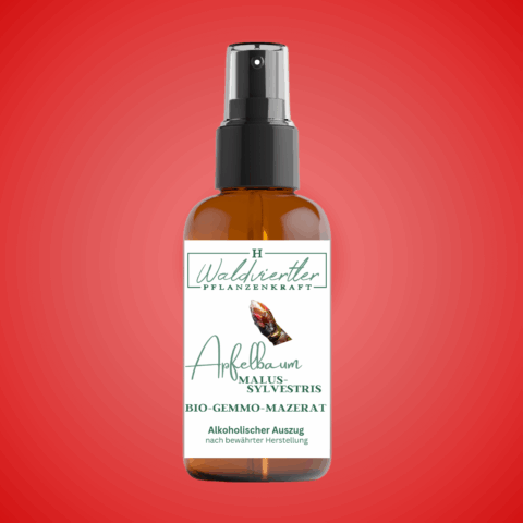 BIO-Gemmo-Mazerat Holzapfelbaum 50ml