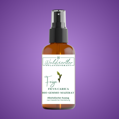 BIO-Gemmo-Mazerat Feige 50ml